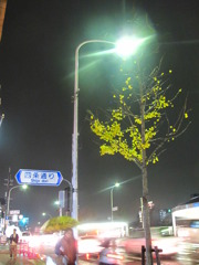 雨の降る夜