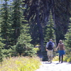 MT.RAINIER COUPLEⅢ