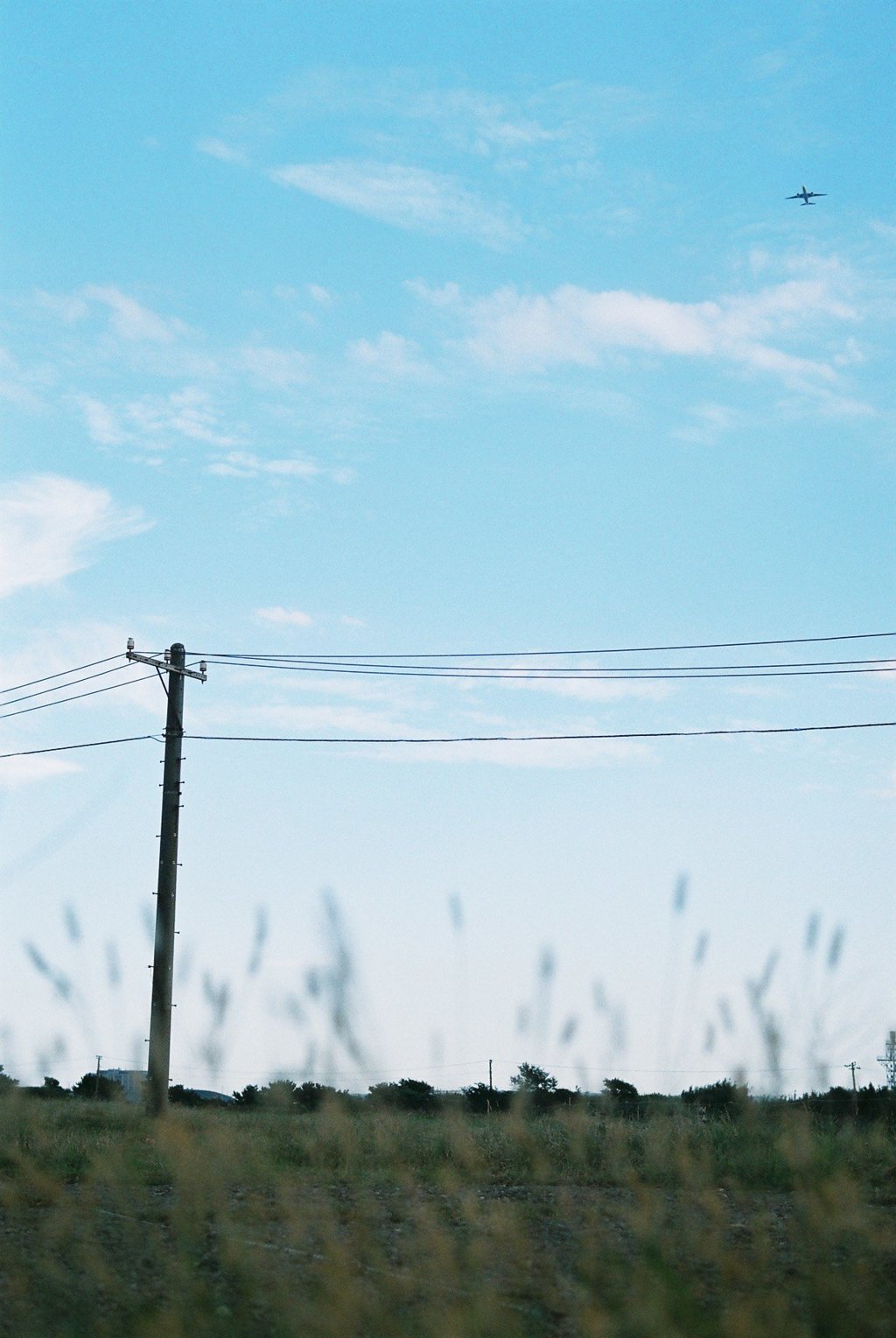 空を見上げてみる。