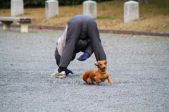 ストレッチおじさんwith犬