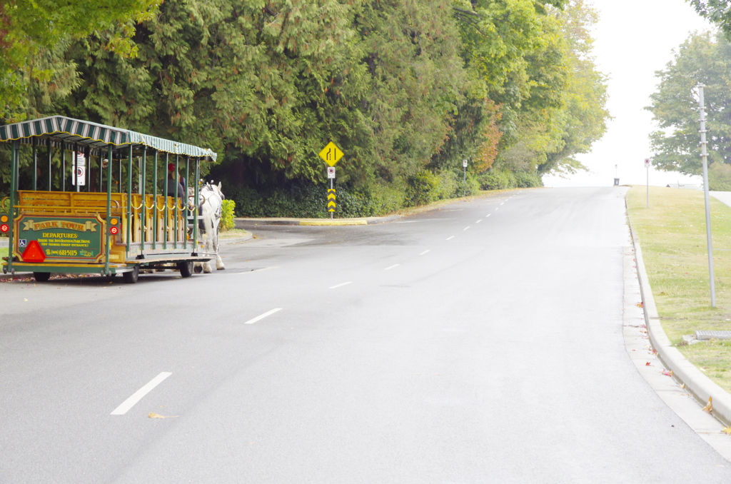 The carriage goes