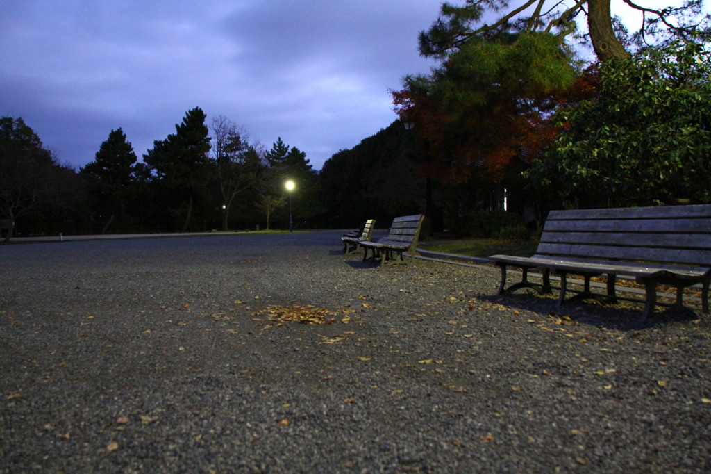 誰もいないpark