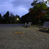 誰もいないpark
