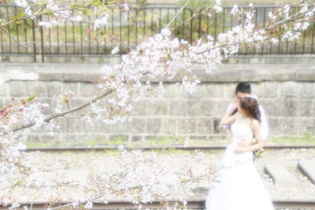 さくらwedding