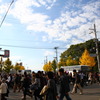 観光シーズン
