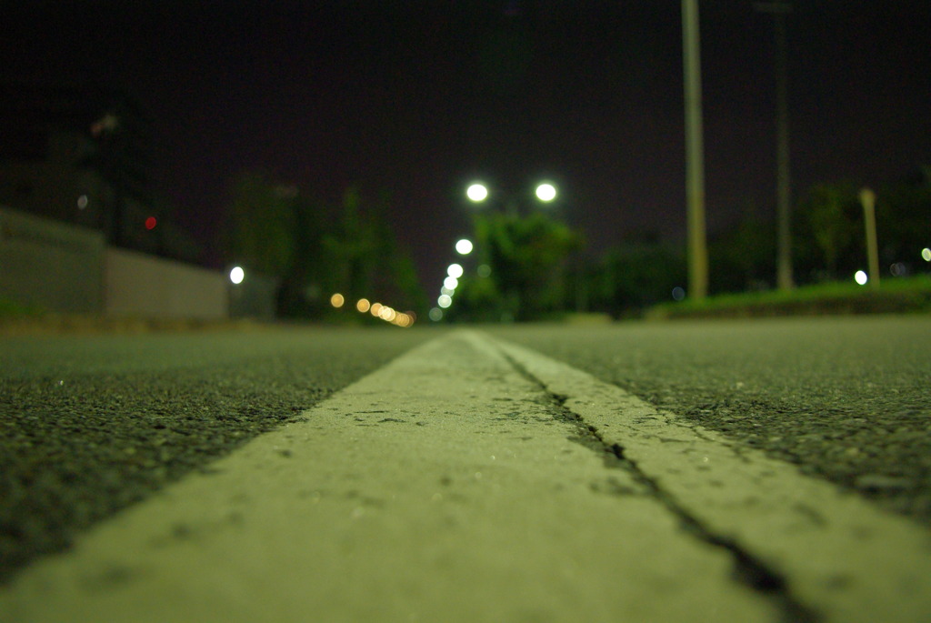 夜道を行く。白線を道しるべに。