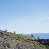 Mountain climbing