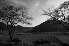 無人駅からの風景