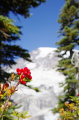 jewel of the mountain