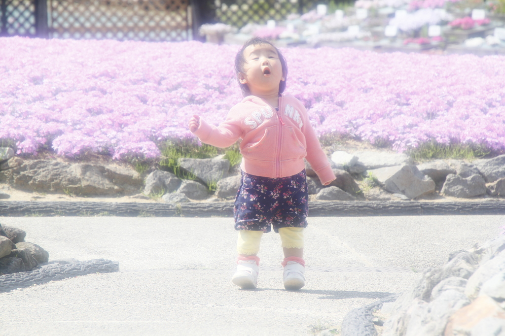 天使の叫び