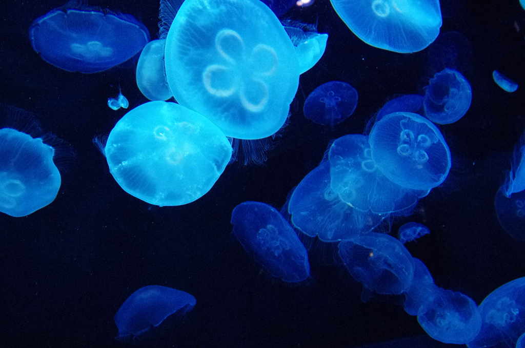 深海
