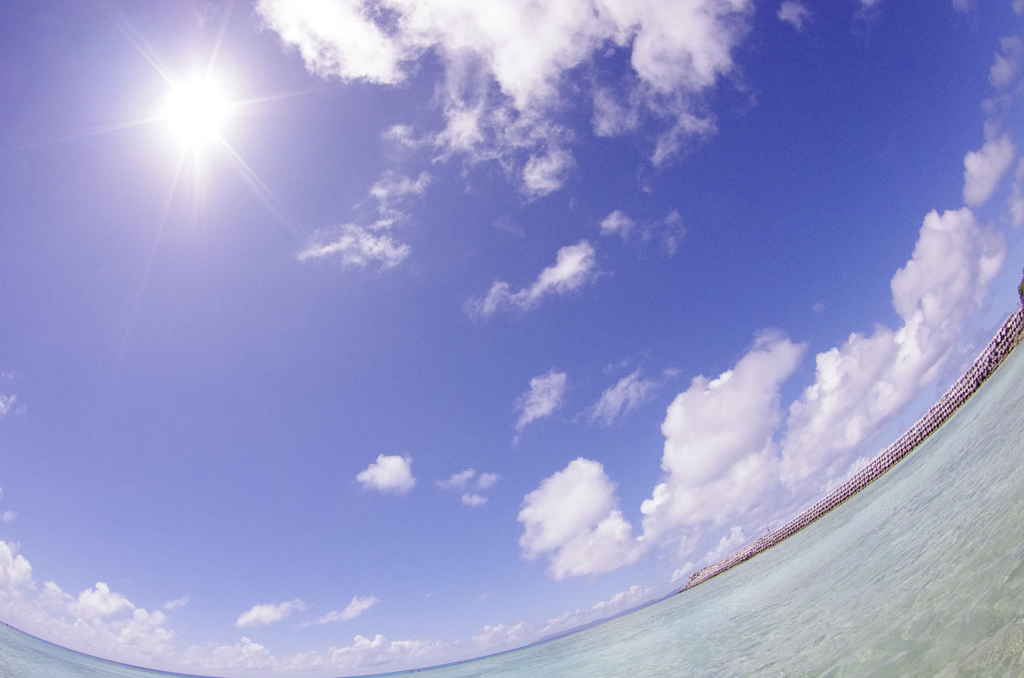 夏海