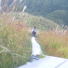 高原Walk