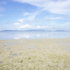 小浜日和