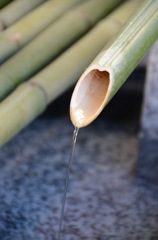 物体