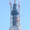 成長中