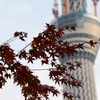 誰ーだぁ？