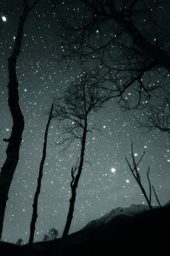 星降る夜