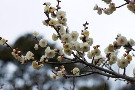 岡本公園にて