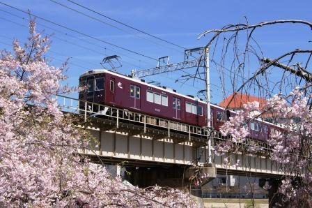 阪急電車と桜