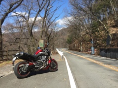 近所の山