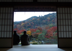 穏やかな1日