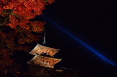 一筋の光