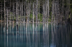 青い池