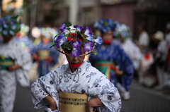 ワタシが主役よ！　ワタシをお撮り！