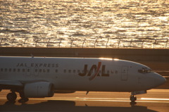 夕方のJAL