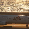 夕方のJAL