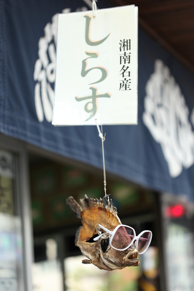 しらす。。。なの？