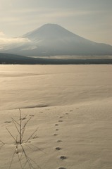 富士山④