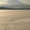 富士山④
