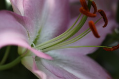 IMG_0024