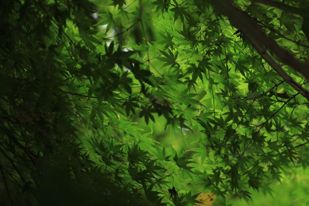 good green