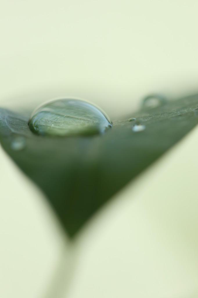 ハートっぽい①