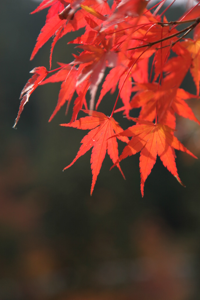 稲武近く②