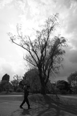 IMG_0884