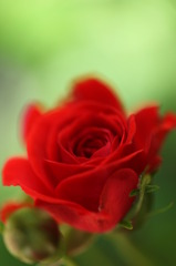 IMG_0335