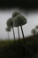 IMG_0659