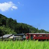 ナツゾラ