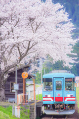 桜電車