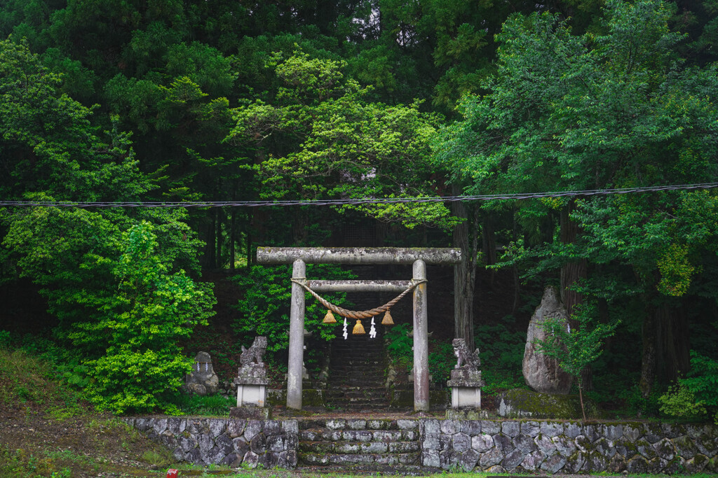 森の神社