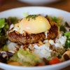 本日のランチ