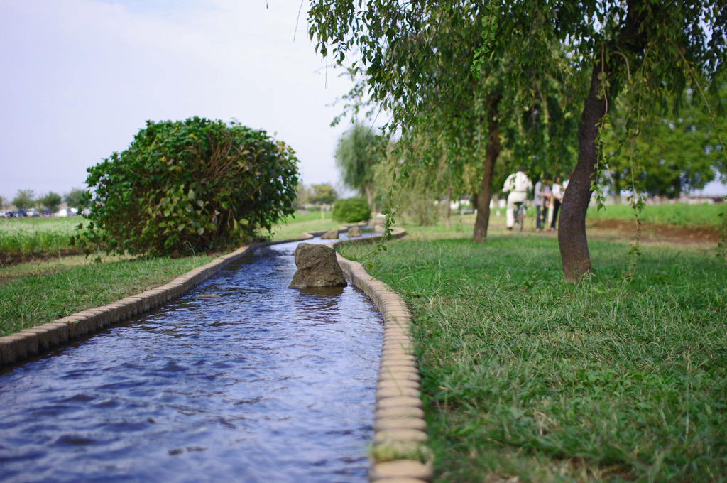 あけぼの山農業公園