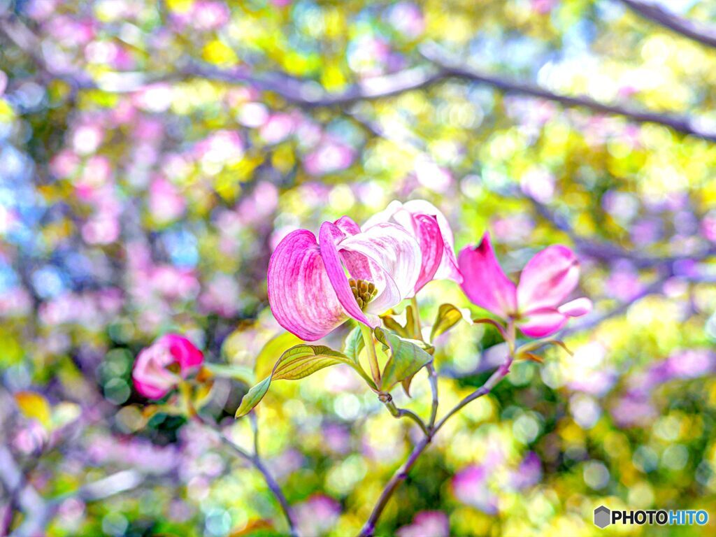 2020年4月　農業公園