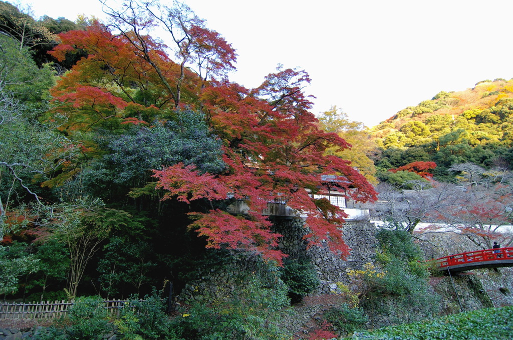 箕面滝道