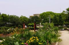 2015年6月　なにげに撮ってた無限遠