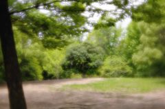 2015年6月　Velvet56　f2